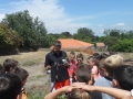 SAM_0691