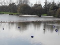 20201124_142127