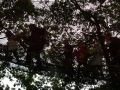 p1170252