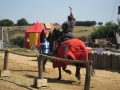 sortie tiffauges 016