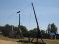sortie tiffauges 031