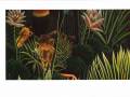 Rousseau-1
