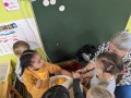 PXL_20231127_091127928
