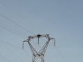 20210507_102415