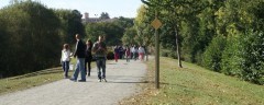 DSC08359-240x96