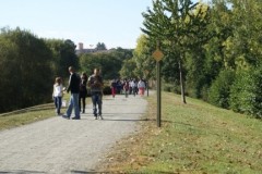 DSC08359-480x288
