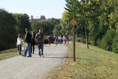 DSC08359-960x480