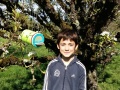Anatole