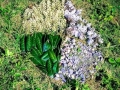Printemps-géométrique-de-Jeanne