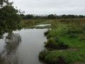 DSC00225
