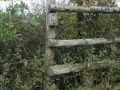 DSC00227