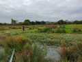 IMG-20201009-WA0007