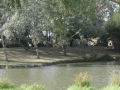 dsc03645