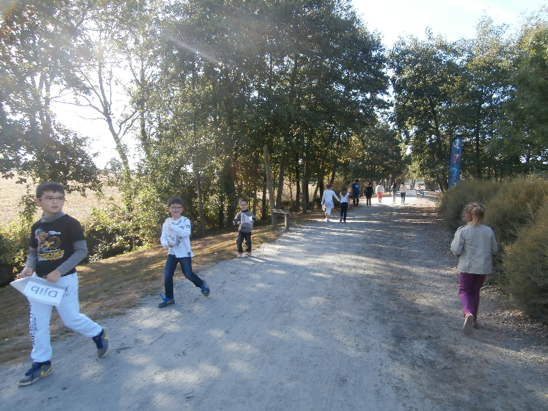 OLYMPUS DIGITAL CAMERA OLYMPUS DIGITAL CAMERA