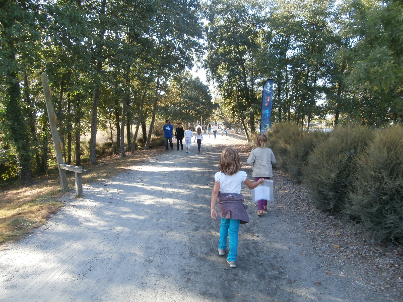 OLYMPUS DIGITAL CAMERA OLYMPUS DIGITAL CAMERA