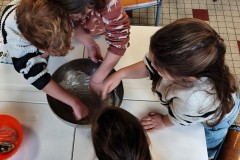 IMG_20260126_093544389_HDR