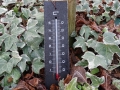 DSC00940