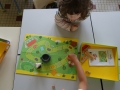 DSC00884
