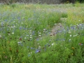 DSC07890