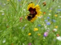 DSC08008