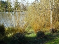 p1170956