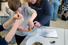 8d22e358-684e-4d42-b209-20e5786ef81f