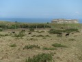 DSC01443