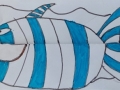 nolan-poisson-1