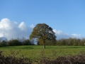 DSC02663
