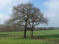 DSC06006