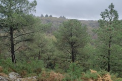 IMG20261012150936