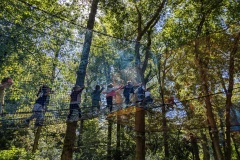 PXL_20240624_092658341