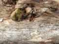 P1200003