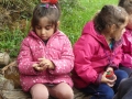 P1200027