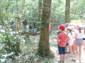 DSC04411