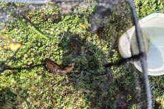 IMG_20250520_112718051_HDR