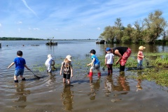 IMG_20250520_112921342_HDR