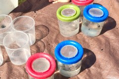 IMG_20250520_114101397_HDR