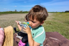 IMG_20250520_115239051_HDR