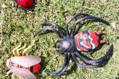 IMG_20250520_115351601_HDR