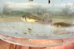 IMG_20250520_115448543_HDR