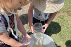 IMG_20250520_115936952_HDR