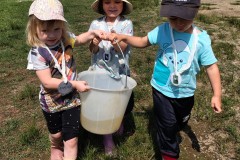 IMG_20250520_120041116_HDR