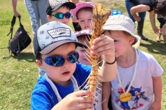 IMG_20250520_120451228_HDR