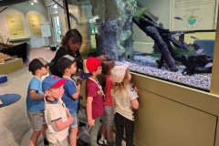 IMG_20250520_135423415_HDR