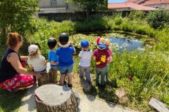 IMG_20250520_140621231_HDR