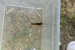 IMG_20250520_142542559