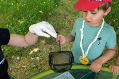 IMG_20250520_142600446