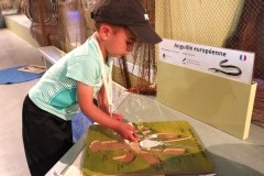 IMG_20250520_142802608