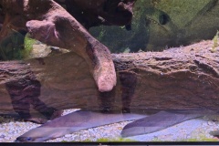 IMG_20250520_143044116_HDR